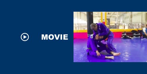 柔術の活法の最上級は抜き③