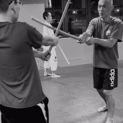 武術の身体操作 西洋の身体操作