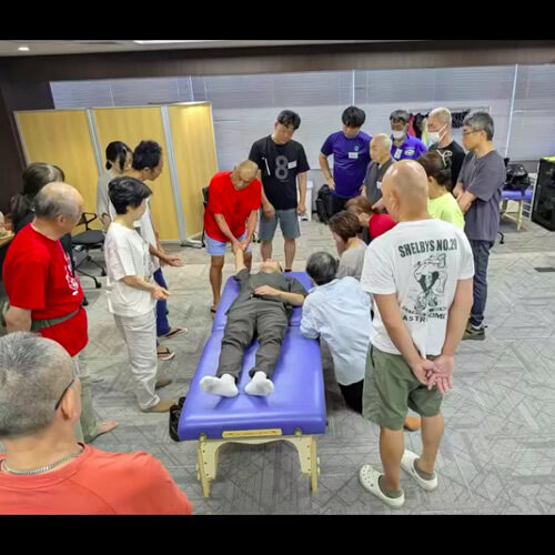 8回の手技伝Ⅱセミナーの2回目