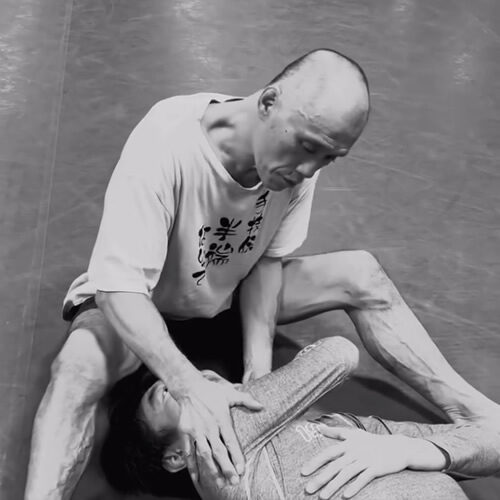 関節技は力学的に壊れる形