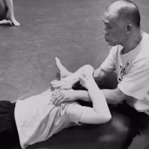 猫の動きは素晴らしい