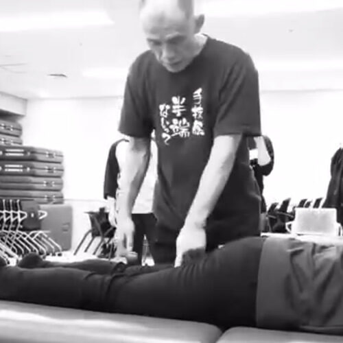 體の繋がりは骨の繋がり