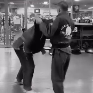 グレイシー柔術と柳生心眼流柔術 どちらにも型がある