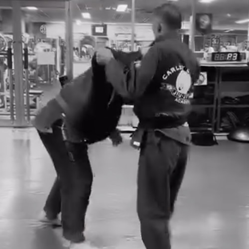 グレイシー柔術と柳生心眼流柔術 どちらにも型がある