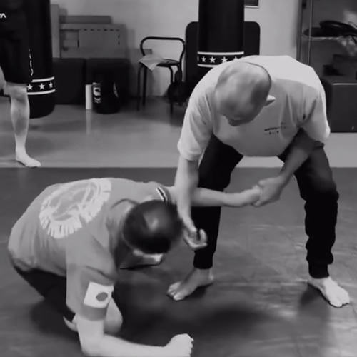 骨の秘密を使うと武術が始まる