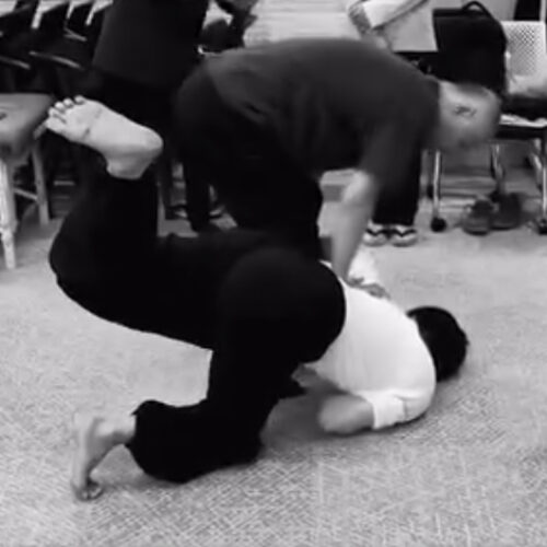 骨には未知のエネルギーが 存在する　 これが武術を紐解く鍵