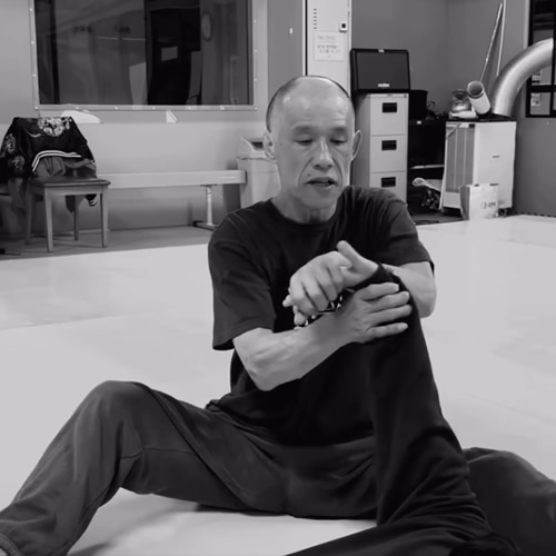 骨絡は全身に渡る知恵を持つ