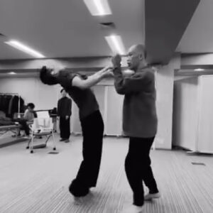 武術の型は不思議な動きと リズムで動くと効果が生まれる