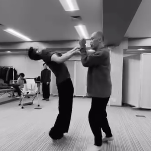 武術の型は不思議な動きと リズムで動くと効果が生まれる