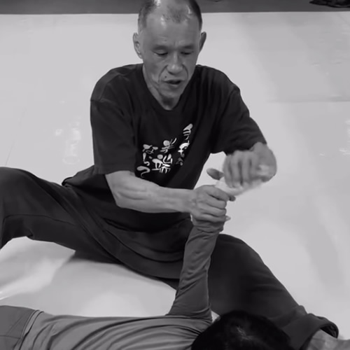 筋肉という概念