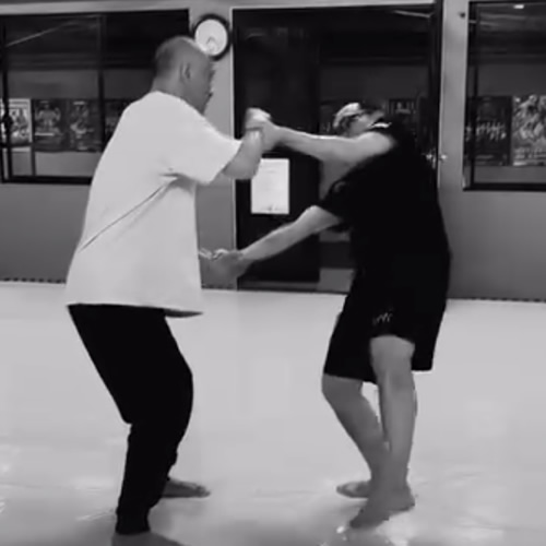 骨から筋肉の奥から動かす未知の指令を骨絡と呼ぶ